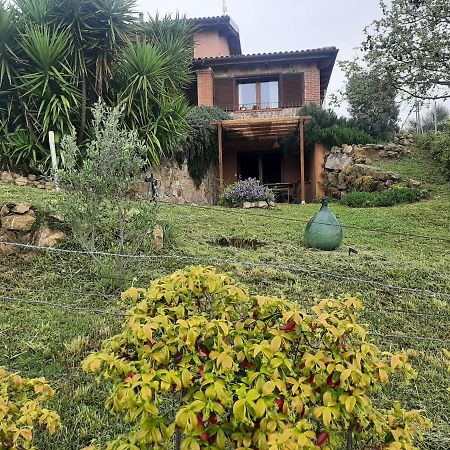 Maremma Che Vista! Apartment Campagnatico Bagian luar foto