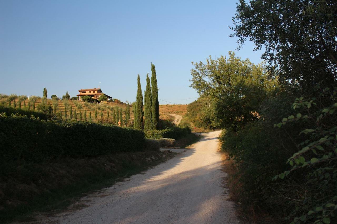 Maremma Che Vista! Apartment Campagnatico Bagian luar foto