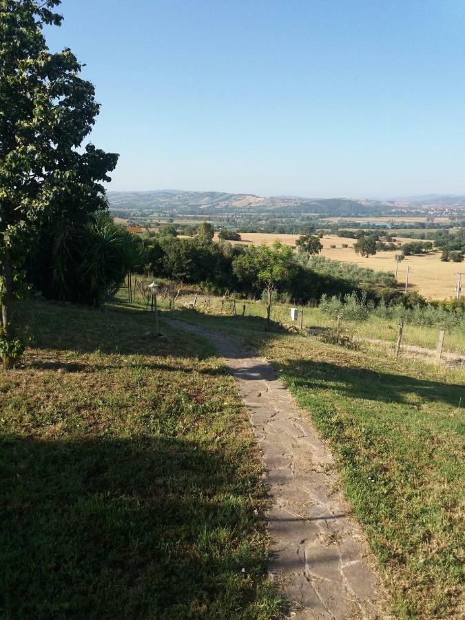 Maremma Che Vista! Apartment Campagnatico Bagian luar foto