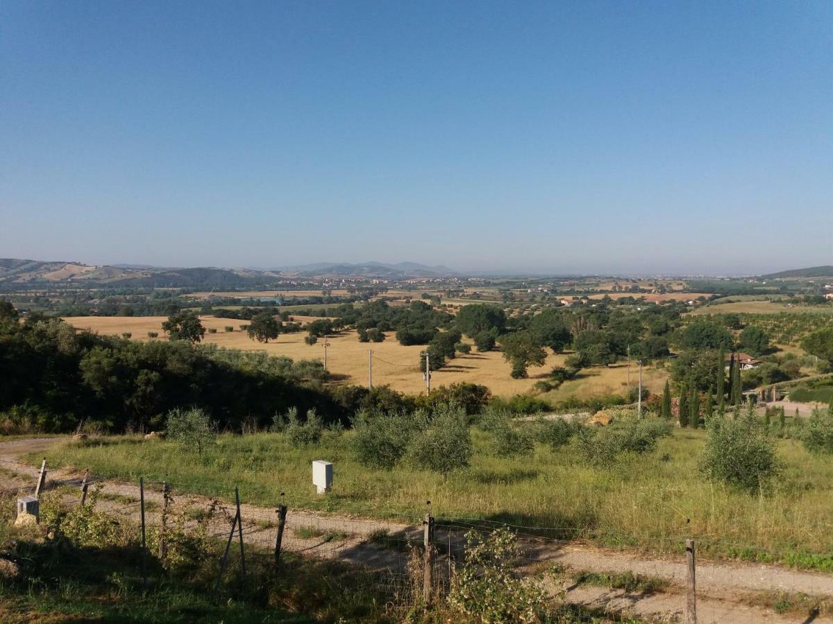 Maremma Che Vista! Apartment Campagnatico Bagian luar foto