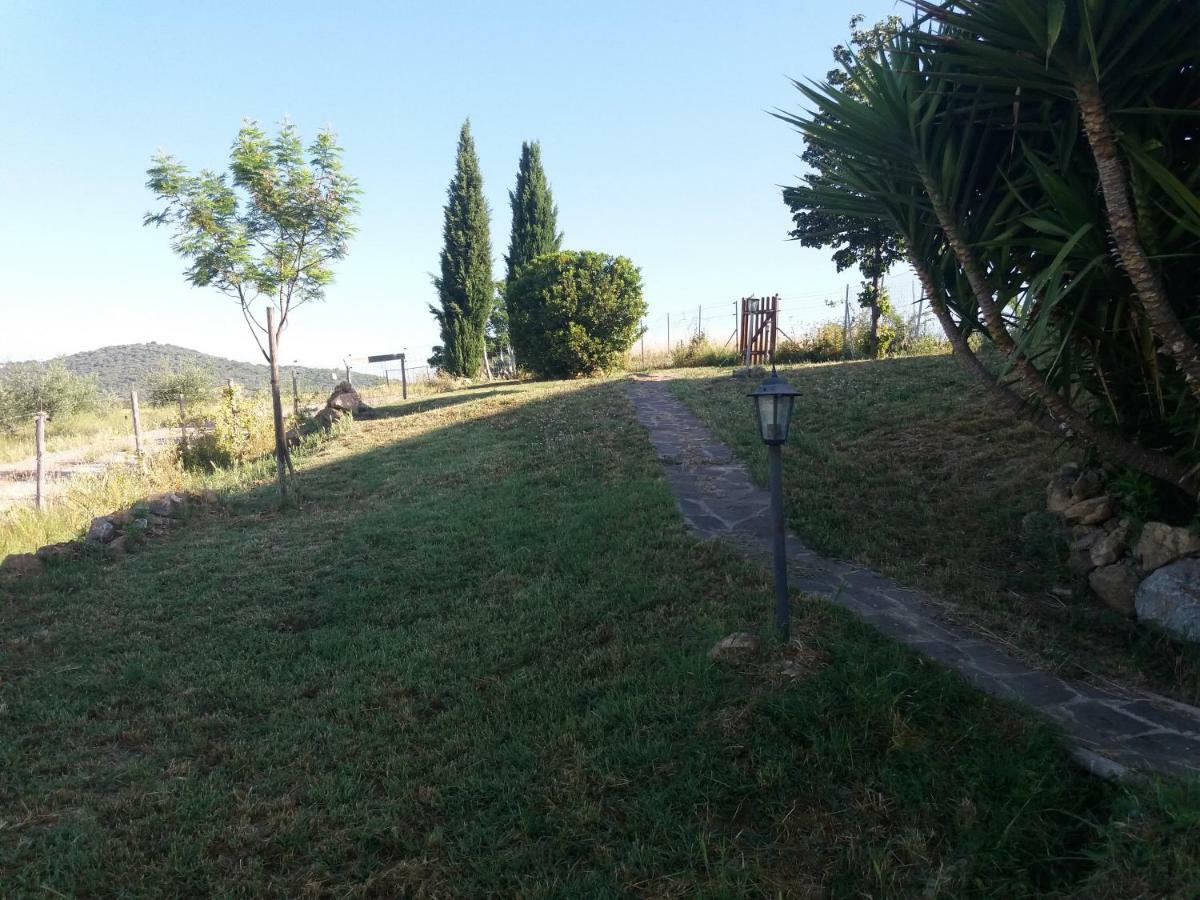 Maremma Che Vista! Apartment Campagnatico Bagian luar foto
