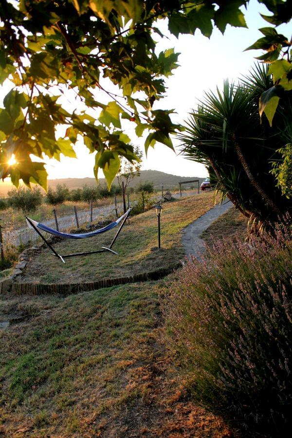Maremma Che Vista! Apartment Campagnatico Bagian luar foto